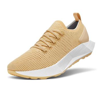 Allbirds Tree Flyers Löparskor Herr Beige | SE4181KI