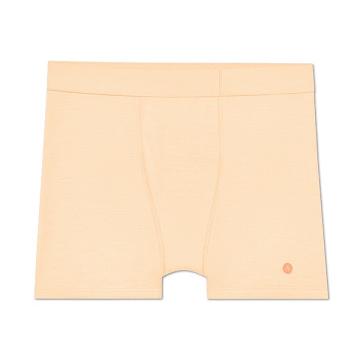 Allbirds Trino® Boxer Brief Underkläder Herr Bruna | SE4272TV