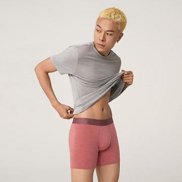 Allbirds Trino® Boxer Brief Underkläder Herr Röda | SE4273RW