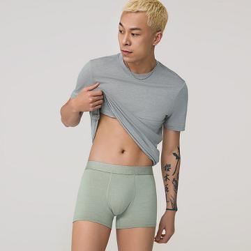 Allbirds Trino® Trunk Underkläder Herr Gröna | SE4280VD