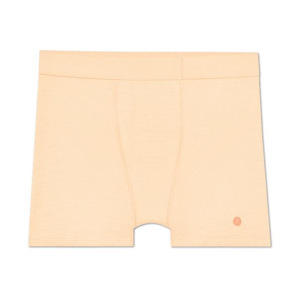 Allbirds Trino® Boxer Brief Underkläder Herr Bruna | SE4272TV